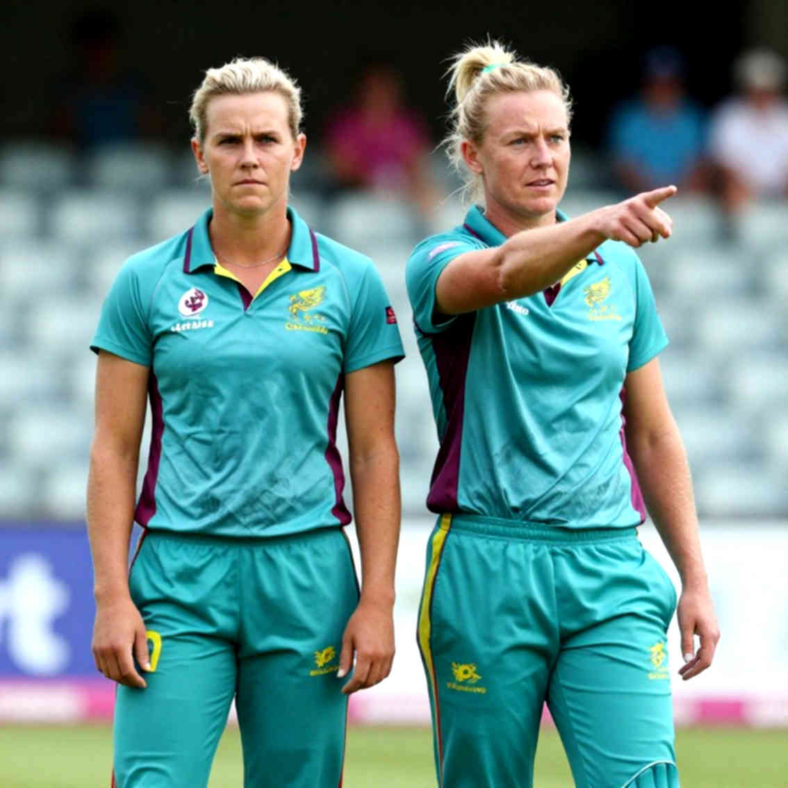 Data Integrity Crisis in Cricket Analytics: What an Empty Input Teaches Us